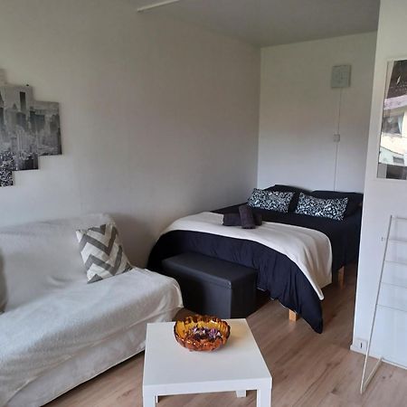 Studio Rdc Calme Avec Parking Ferme Pres Autoroute Et Tram C Mulhouse Exterior photo