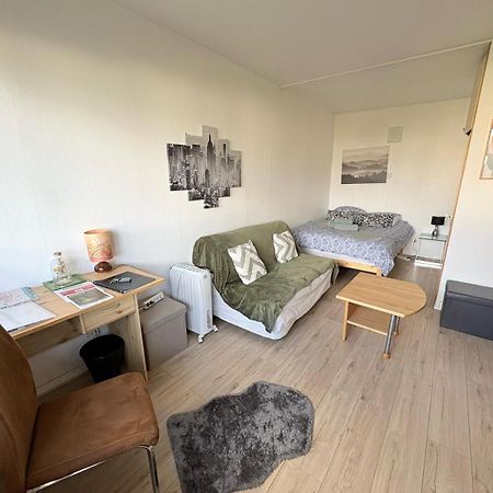 Studio Rdc Calme Avec Parking Ferme Pres Autoroute Et Tram C Mulhouse Exterior photo
