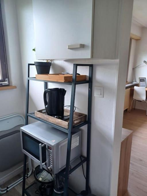 Studio Rdc Calme Avec Parking Ferme Pres Autoroute Et Tram C Mulhouse Exterior photo